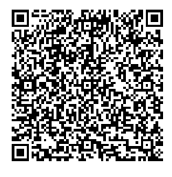 the qr code